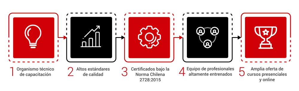 Gráfica instituto capacitación